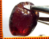 Garnet - Rhodolite- Tanzania 24.47 cts - Ref. RG/80