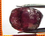 Garnet - Rhodolite- Tanzania 24.47 cts - Ref. RG/80