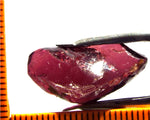 Garnet - Rhodolite- Tanzania 23.88 cts - Ref. RG/85