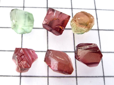 Tourmaline – Mozambique - Total weight 26.86 cts - Ref. MZ/69