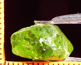 Peridot – China/Afghanistan – 11.82 cts - Ref. PR-42
