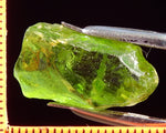 Peridot – China/Afghanistan – 20.64 cts - Ref. PR-44