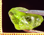 Peridot – China/Afghanistan – 11.52 cts - Ref. PR-50