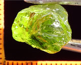 Peridot – China/Afghanistan – 11.52 cts - Ref. PR-50