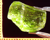 Peridot – China/Afghanistan – 12.44 cts - Ref. PR-51