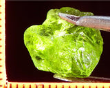 Peridot – China/Afghanistan – 12.70 cts - Ref. PR-52