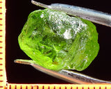 Peridot – China/Afghanistan – 14.68 cts - Ref. PR-57