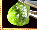 Peridot – China/Afghanistan – 10.87 cts - Ref. PR-58