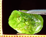 Peridot – China/Afghanistan – 10.87 cts - Ref. PR-58