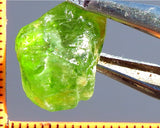 Peridot – China/Afghanistan – 16.09 cts - Ref. PR-62