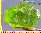 Peridot – China/Afghanistan – 16.09 cts - Ref. PR-62