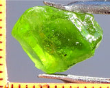 Peridot – China/Afghanistan – 11.87 cts - Ref. PR-63