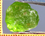 Peridot – China/Afghanistan – 11.87 cts - Ref. PR-63