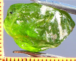 Peridot – China/Afghanistan – 16.58 cts - Ref. PR-64