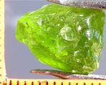 Peridot – China/Afghanistan – 11.97 cts - Ref. PR-65