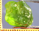 Peridot – China/Afghanistan – 11.97 cts - Ref. PR-65