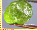 Peridot – China/Afghanistan – 11.93 cts - Ref. PR-66