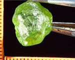 Peridot – China/Afghanistan – 13.70 cts - Ref. PR-67