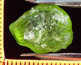 Peridot – China/Afghanistan – 13.70 cts - Ref. PR-67