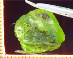 Peridot – China/Afghanistan – 12.82 cts - Ref. PR-77