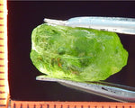 Peridot – China/Afghanistan – 11.69 cts - Ref. PR-79