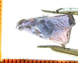 Sapphire – Umba - Tanzania 5.89cts - Ref. OSB/13