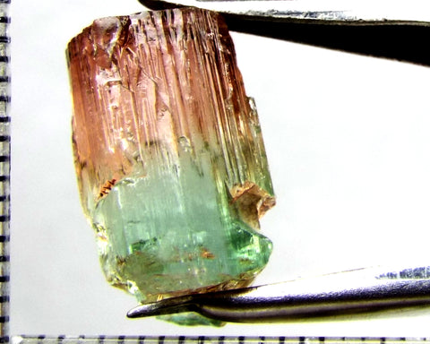 Tourmaline , tri-colour – Mozambique – 13.96 cts - Ref. TOB-520