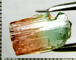 Tourmaline , tri-colour – Mozambique – 13.96 cts - Ref. TOB-520