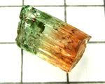 Tourmaline , tri-colour – Mozambique – 13.96 cts - Ref. TOB-520