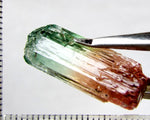 Tourmaline , tri-colour – Mozambique – 21.22cts - Ref. TOB-521