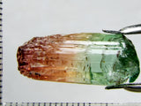 Tourmaline , tri-colour – Mozambique – 21.22cts - Ref. TOB-521