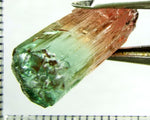 Tourmaline , tri-colour – Mozambique – 21.22cts - Ref. TOB-521