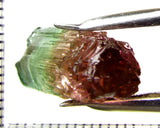 Tourmaline , tri-colour – Mozambique – 21.22cts - Ref. TOB-521