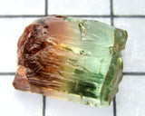 Tourmaline , tri-colour – Mozambique – 13.45cts - Ref. TOB-523