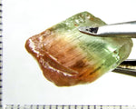 Tourmaline , tri-colour – Mozambique – 13.45cts - Ref. TOB-523