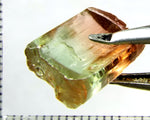 Tourmaline , tri-colour – Mozambique – 13.45cts - Ref. TOB-523