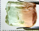 Tourmaline , tri-colour – Mozambique – 13.45cts - Ref. TOB-523