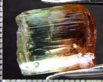 Tourmaline , tri-colour – Mozambique – 13.45cts - Ref. TOB-523