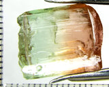 Tourmaline , tri-colour – Mozambique – 13.45cts - Ref. TOB-523