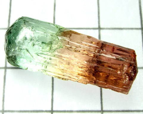 Tourmaline , tri-colour – Mozambique – 24.23cts - Ref. TOB-524 - THIS STONE HAS BEEN RESERVED