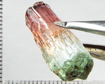 Tourmaline , tri-colour – Mozambique – 24.23cts - Ref. TOB-524 - THIS STONE HAS BEEN RESERVED