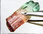 Tourmaline , tri-colour – Mozambique – 24.23cts - Ref. TOB-524 - THIS STONE HAS BEEN RESERVED