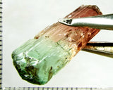 Tourmaline , tri-colour – Mozambique – 24.23cts - Ref. TOB-524 - THIS STONE HAS BEEN RESERVED