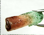 Tourmaline , tri-colour – Mozambique – 24.23cts - Ref. TOB-524 - THIS STONE HAS BEEN RESERVED