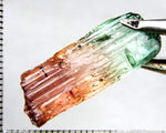 Tourmaline , tri-colour – Mozambique – 24.23cts - Ref. TOB-524 - THIS STONE HAS BEEN RESERVED