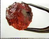 Tourmaline bi-colour– Mozambique – 36.57 cts - Ref. TOB-525