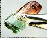 Tourmaline , tri-colour – Mozambique – 24.30 cts - Ref. TOB-526