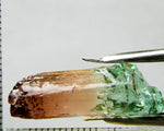 Tourmaline , tri-colour – Mozambique – 24.30 cts - Ref. TOB-526