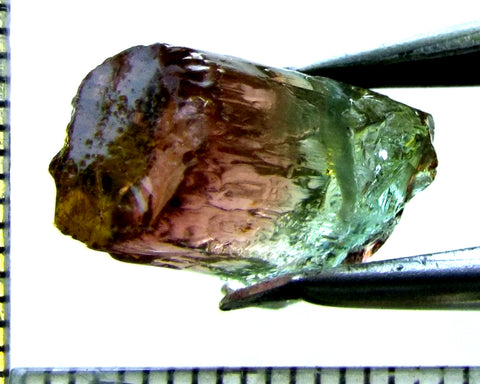 Tourmaline , tri-colour – Mozambique – 12.55 cts - Ref. TOB-530 - THIS STONE HAS BEEN RESERVED.