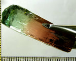 Tourmaline , tri-colour – Mozambique – 38.90cts - Ref. TOB-535